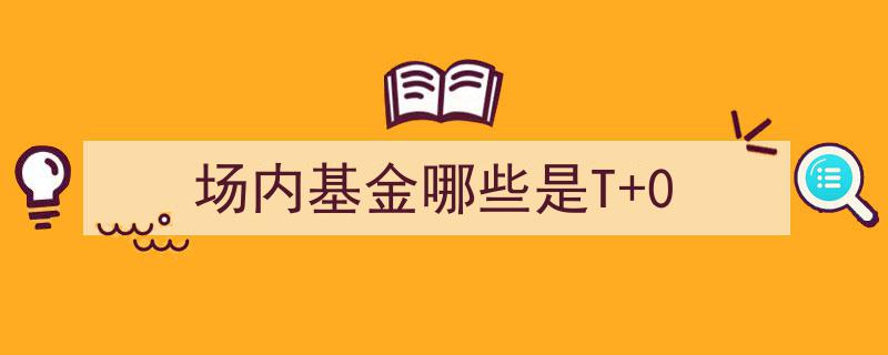 场内基金T0交易攻略,盘点哪些T+0交易品种值得关注"/