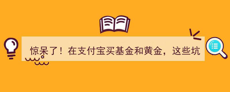 惊呆了！揭秘支付宝基金与黄金交易中的隐藏陷阱，这些坑你不得不防！"/