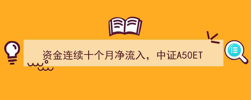 连续十个月资金涌入，易方达旗下中证A50ETF、沪深300ETF等产品积极布局核心资产市场"/