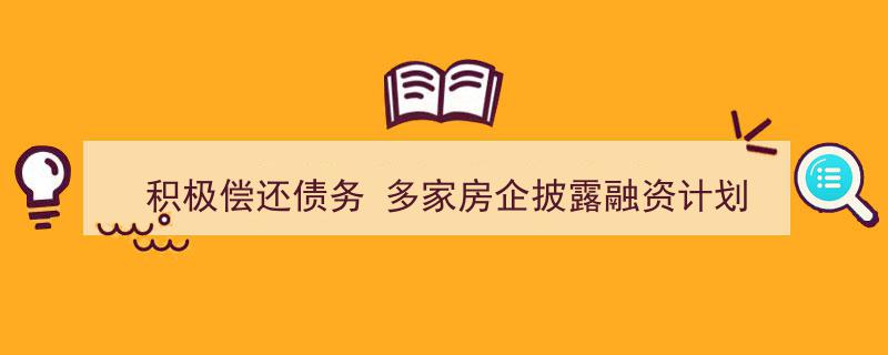 积极应对债务压力，多家房企密集披露融资新计划"/