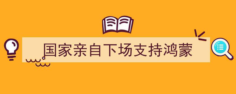 国家战略助力,国家亲自下场支持鸿蒙操作系统发展"/