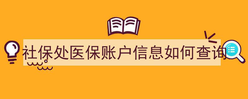 社保处医保账户信息查询指南,轻松掌握个人医保账户详情"/