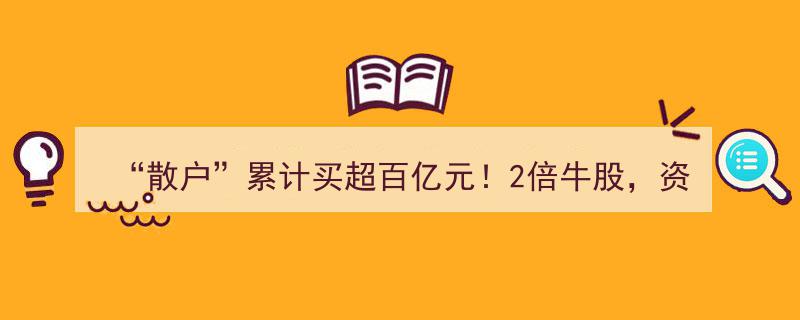 散户狂热买入，累计百亿资金涌入！揭秘2倍涨幅牛股资金流向"/