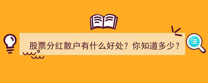 股票分红,散户投资者受益指南，揭秘分红背后的五大优势"/