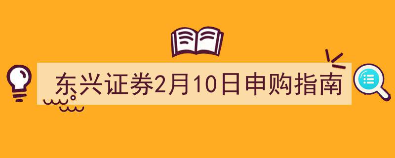 东兴证券2月10日申购攻略,详尽指南助您顺利参与"/