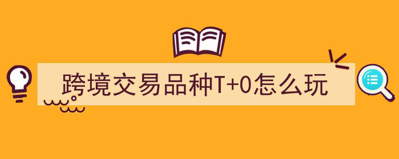 跨境交易品种T+0策略揭秘,玩转快速盈利新技巧"/