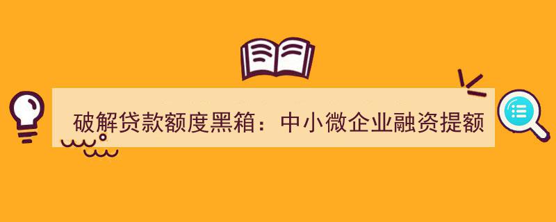 揭秘贷款额度迷局,中小微企业融资额度提升实战攻略手册"/