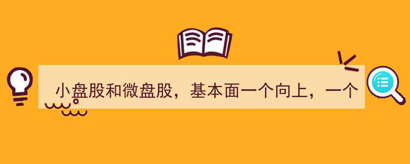 小盘股崛起，微盘股承压,基本面一升一降，市场动态解析"/