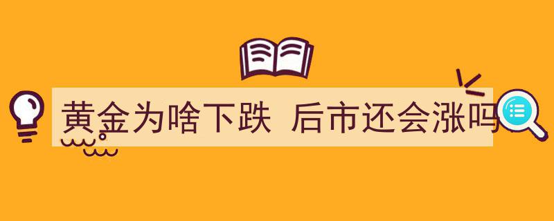 黄金价格为何下跌？后市展望,能否逆袭反弹？"/