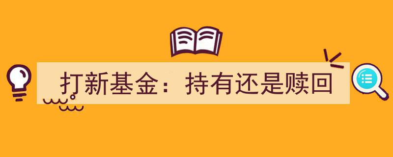 打新基金持有还是赎回,投资者决策指南"/