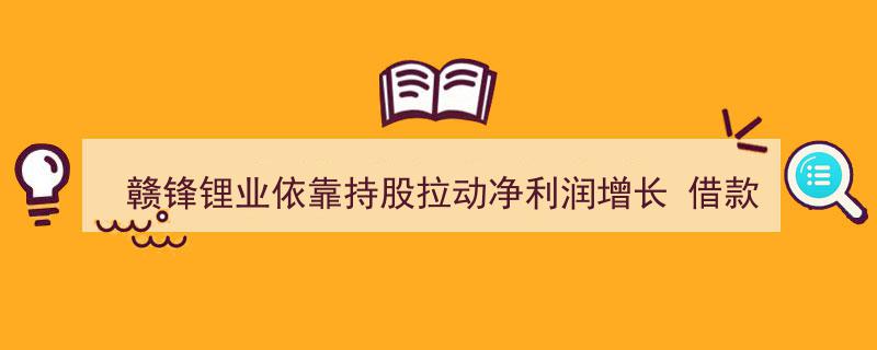 赣锋锂业净利润增长动力源于持股策略，借款与发债致上一年财务费用攀升"/