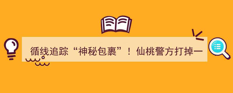 仙桃警方循线追踪，神秘包裹牵出诈骗取现团伙"/