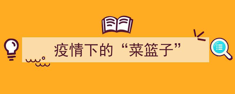 疫情冲击下的“菜篮子”,保障民生与市场稳定的双重挑战"/