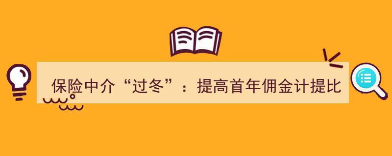保险中介“过冬”策略,首年佣金提比例，低职级考核标准放宽应对市场寒潮"/