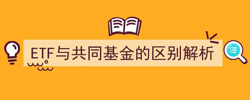 ETF与共同基金差异深度解析,全面对比揭示投资奥秘"/