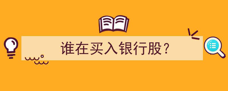 揭秘,谁在积极买入银行股？市场动向解析"/