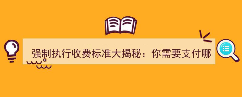 强制执行收费标准深度解析,揭秘你将面临哪些费用支出？"/