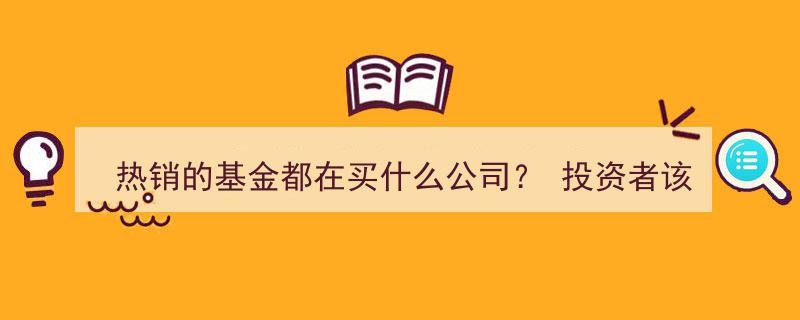 热销基金聚焦哪家公司？投资者投资抉择指南揭秘"/