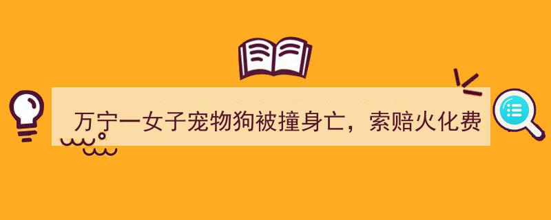 万宁女子宠物狗遇车祸身亡，索赔火化费、“超度”费，法院判决引关注→"/
