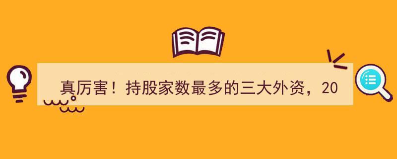 真厉害！2025年一季度外资持股狂潮，三大外资巨头跻身10大股东榜单"/