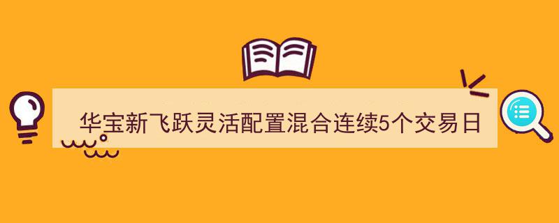 华宝新飞跃灵活配置混合基金连续5日跌势，累计跌幅达1.22%"/
