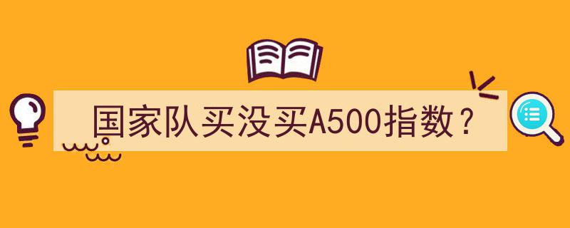 国家队动向揭秘,究竟是否买入A500指数？"/
