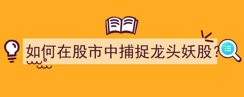 揭秘股市制胜之道,如何精准捕捉龙头妖股"/