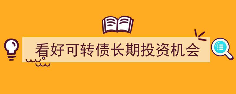 展望未来,深度解析看好可转债的长期投资机遇"/