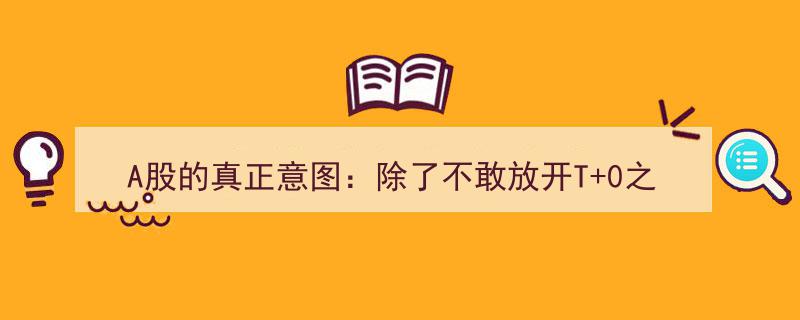 A股市场真相揭秘,深层意图揭示T+0与涨跌幅限制的坚守之谜"/