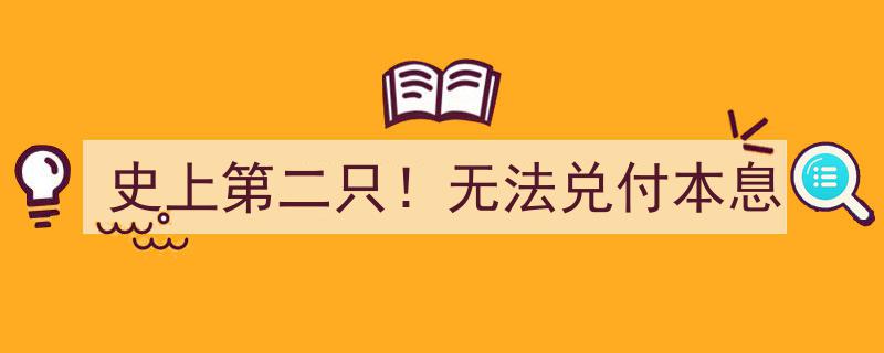 史上第二只P2P平台爆雷,无法兑付本息，投资者心慌慌"/