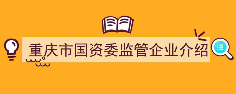 重庆市国资委监管企业概览,风采与实力并存的行业领军者"/