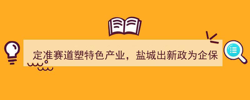 盐城精准定位赛道，培育特色产业集群，新政助力企业稳健发展"/