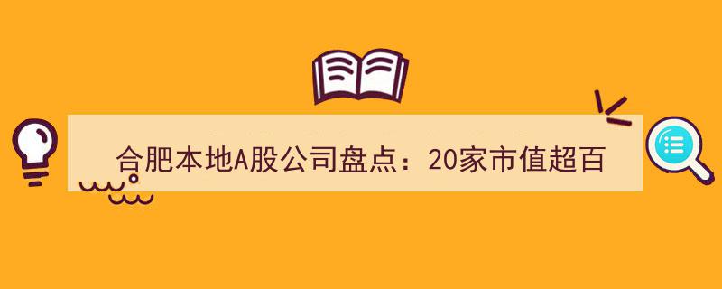 合肥A股市场璀璨星河,盘点20家市值超百亿个股，投资指南必备收藏"/