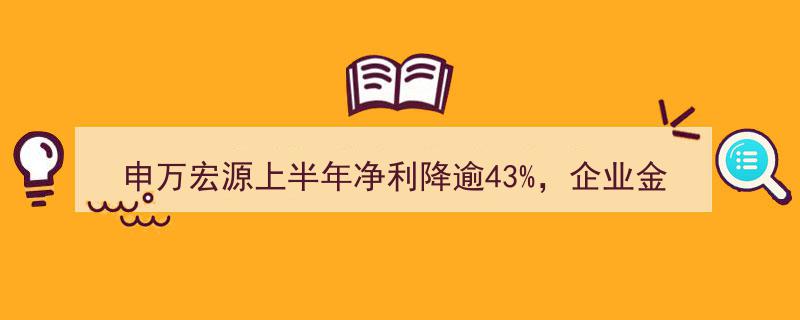 申万宏源上半年净利暴跌超43%，企业金融业务收入同比锐减半"/