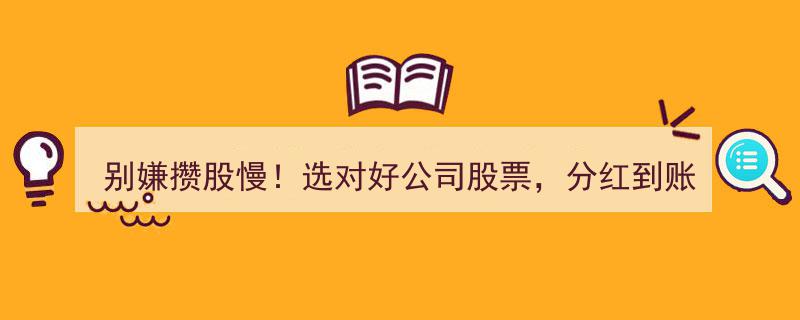 别嫌攒股慢！精选优质股，分红见证复利魅力"/