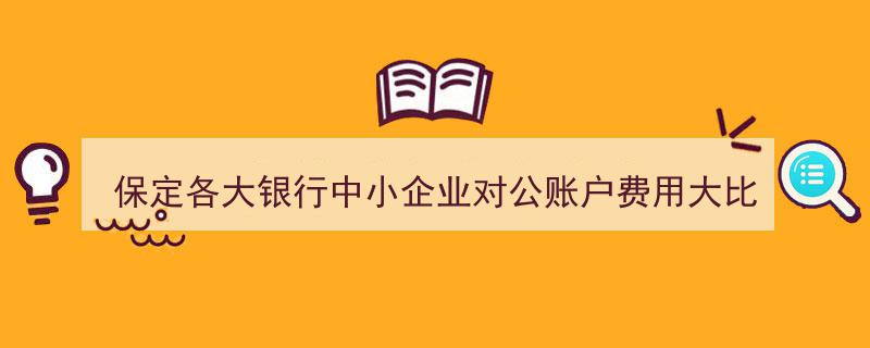 保定银行对公账户中小企业费用深度对比,哪家银行更经济实惠？"/