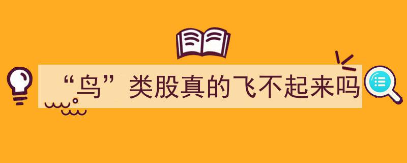 “鸟”类股,揭秘为何难以展翅高飞之谜"/