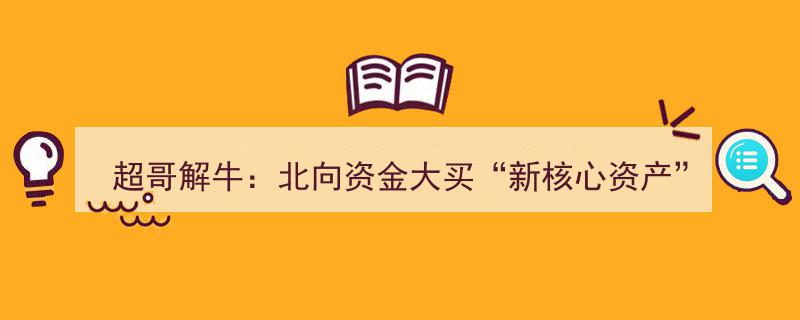 超哥解牛,揭秘北向资金大举买入“新核心资产”背后的投资逻辑"/