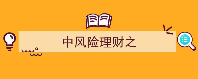中风险理财之稳健收益策略解析"/