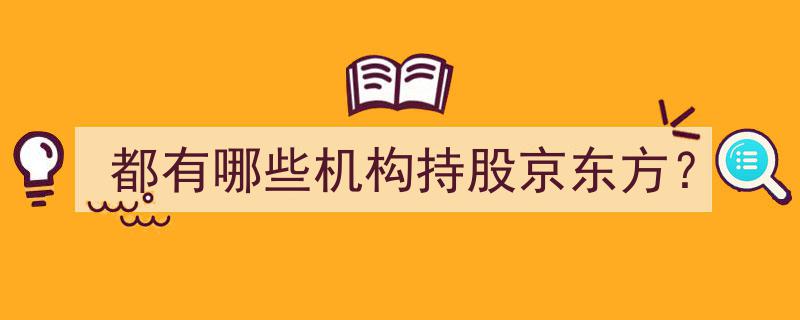 京东方股权揭秘,都有哪些机构在背后持股？"/