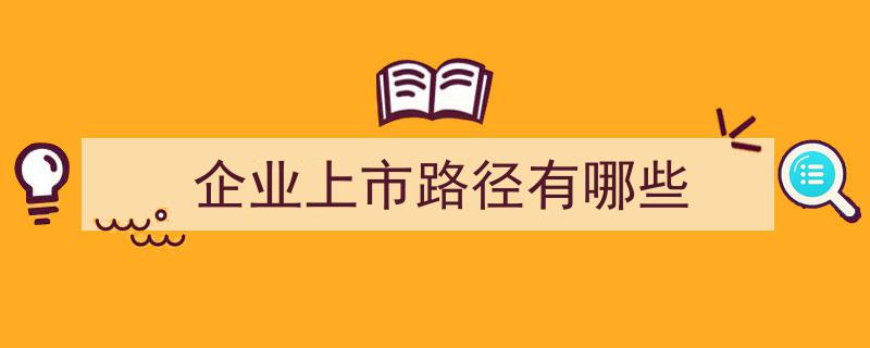 企业上市攻略,揭秘多元化上市路径全解析"/