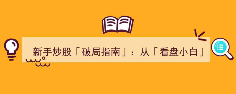 新手炒股破局指南,从看盘小白蜕变为盘感高手的进阶秘籍"/