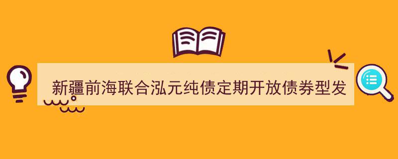 新疆前海联合泓元纯债定期开放债券型发起式基金招募说明书（更新版）摘要解析"/