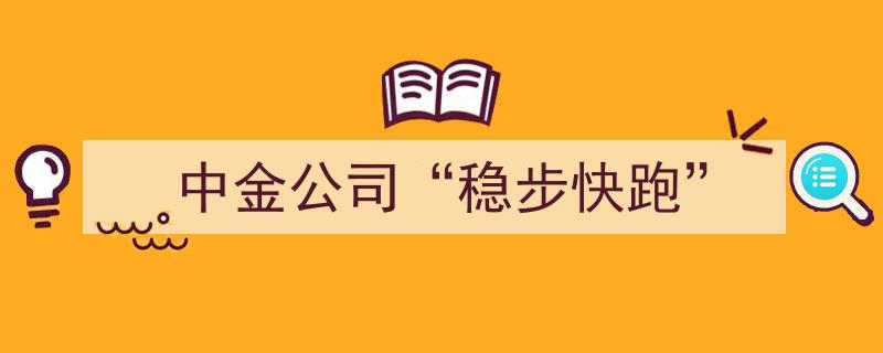 中金公司,践行“稳步快跑”战略，引领行业新篇章"/
