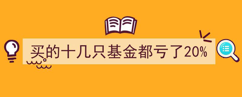 基金投资失利,买的十几只基金集体亏损20%的反思与应对"/