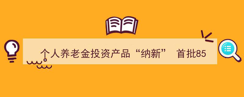 个人养老金投资产品“纳新”潮涌,首批85只权益类指数基金强势入局"/