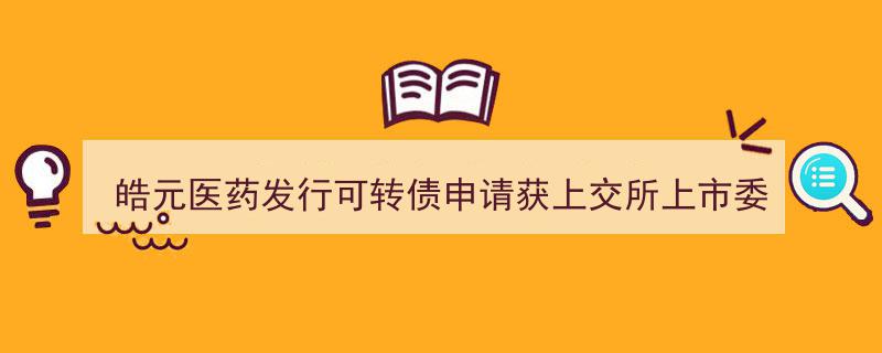 皓元医药可转债发行申请成功通过上交所上市委审议"/