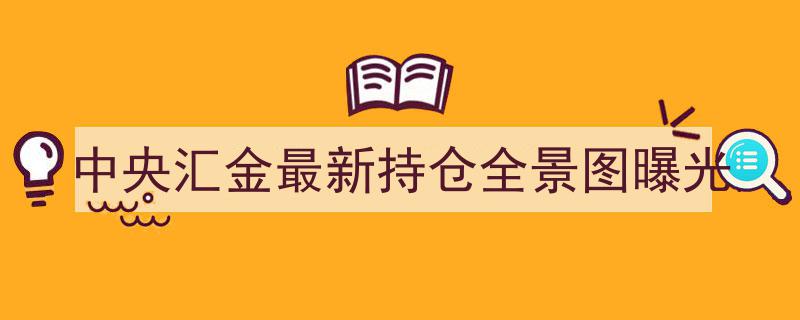 中央汇金最新持仓全景图揭秘,投资布局全解析"/