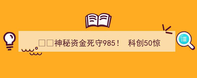 神秘资金死守985高校，科创50现“黄金坑”,散户踏空之谜揭晓？"/