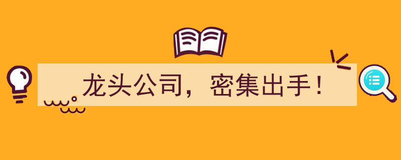 龙头公司密集出手！行业变革新格局即将开启"/